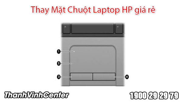 Địa chỉ thay thế mặt chuột laptop hp chính hãng